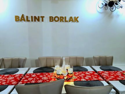 Bálint Borlak24