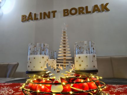 Bálint Borlak26