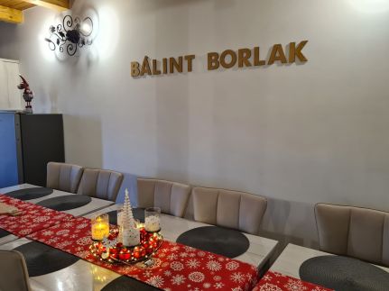 Bálint Borlak44