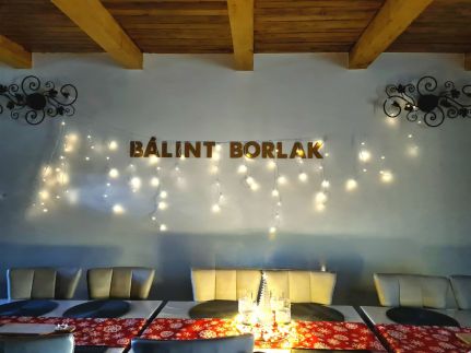 Bálint Borlak54