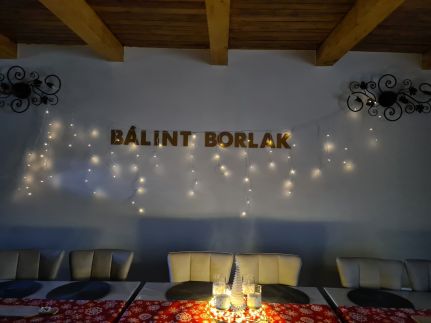 Bálint Borlak55