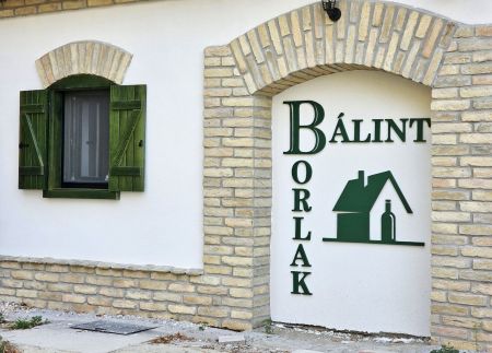 Bálint Borlak12