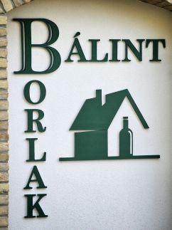 Bálint Borlak13