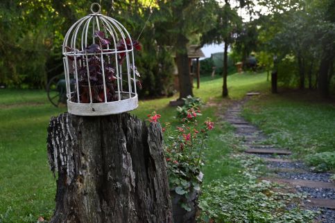 Bakonyi Tündöklő Jurta17