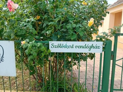 Szőllőskert Vendégház6