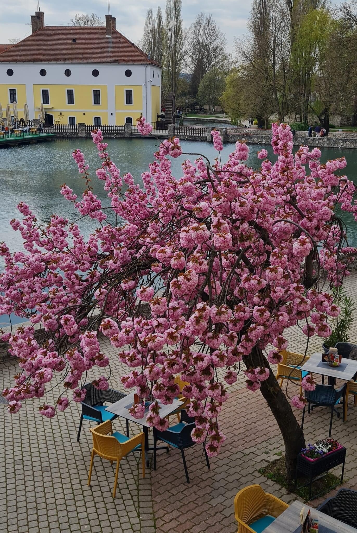 Hajna Apartman – Tapolca fotó 6