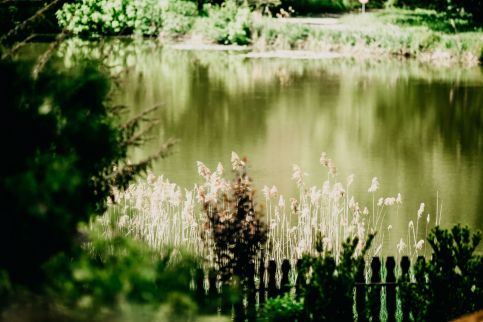 Tó kincse Nyírjes20