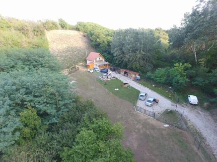 Forest Cottage 202417