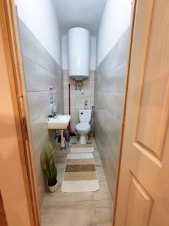 Forest Cottage 202419