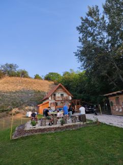 Forest Cottage 202426