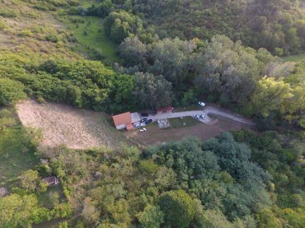 Forest Cottage 202429