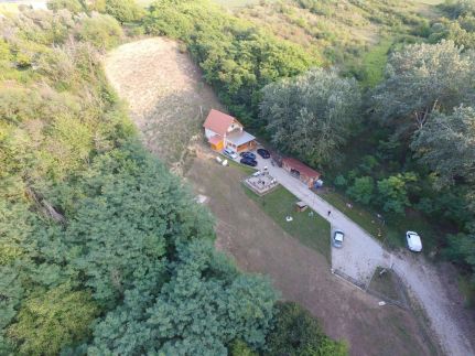 Forest Cottage 202430