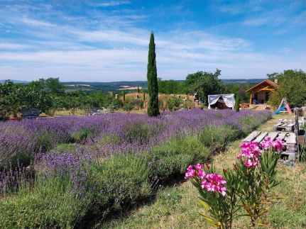 Mediterrán Birtok45