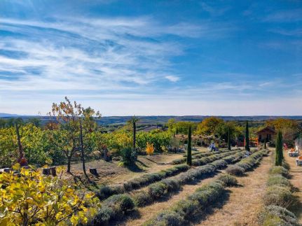 Mediterrán Birtok47