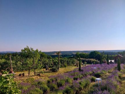 Mediterrán Birtok48