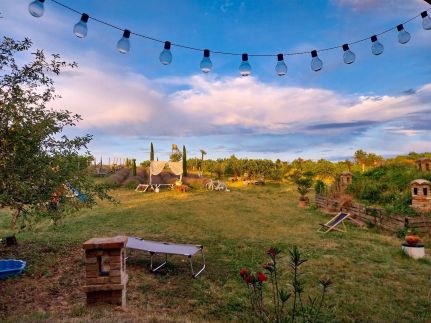 Mediterrán Birtok49