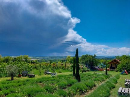 Mediterrán Birtok52