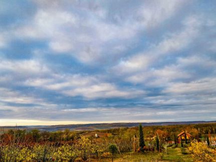 Mediterrán Birtok53