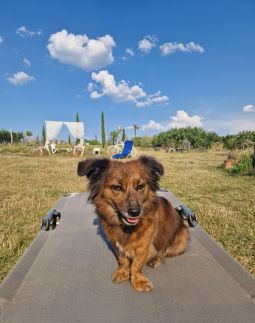 Mediterrán Birtok56