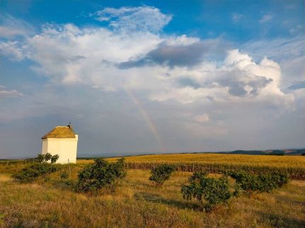 Mediterrán Birtok58