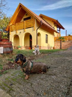 Mediterrán Birtok60