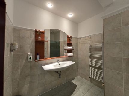 Tranquility Wellness Apartment Zalakaros8