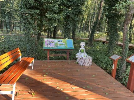Marianna Wellness Apartman38