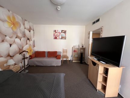 Marianna Wellness Apartman48