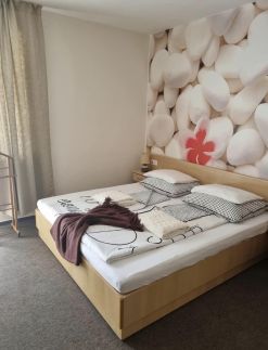 Marianna Wellness Apartman2