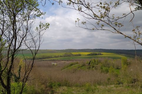 Stüble Kabin Somogyhárságy17