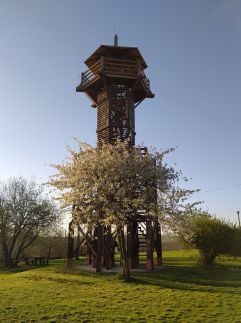 Stüble Kabin Somogyhárságy19