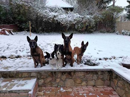 Boldogság Madara Vendégház61