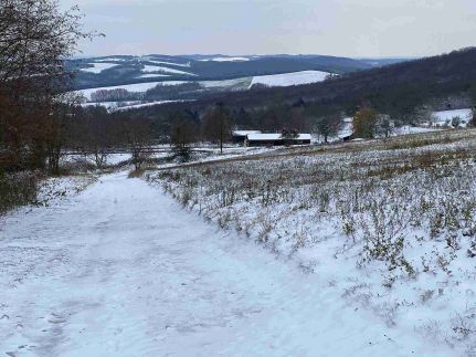 Boldogság Madara Vendégház69