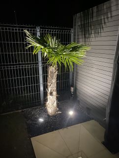 Waikiki Apartman House with Jacuzzi9