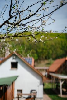 Kiskörtés Vendégház49