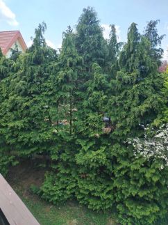 Solar Club Apartman9