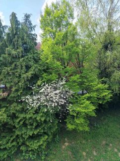 Solar Club Apartman8