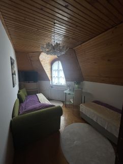 Villa Violett – Miskolctapolca fotó 23
