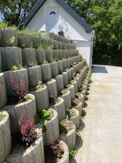 Borostyán Vendégház9