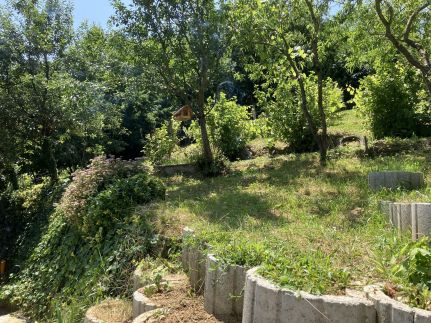 Borostyán Vendégház10