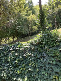 Borostyán Vendégház11