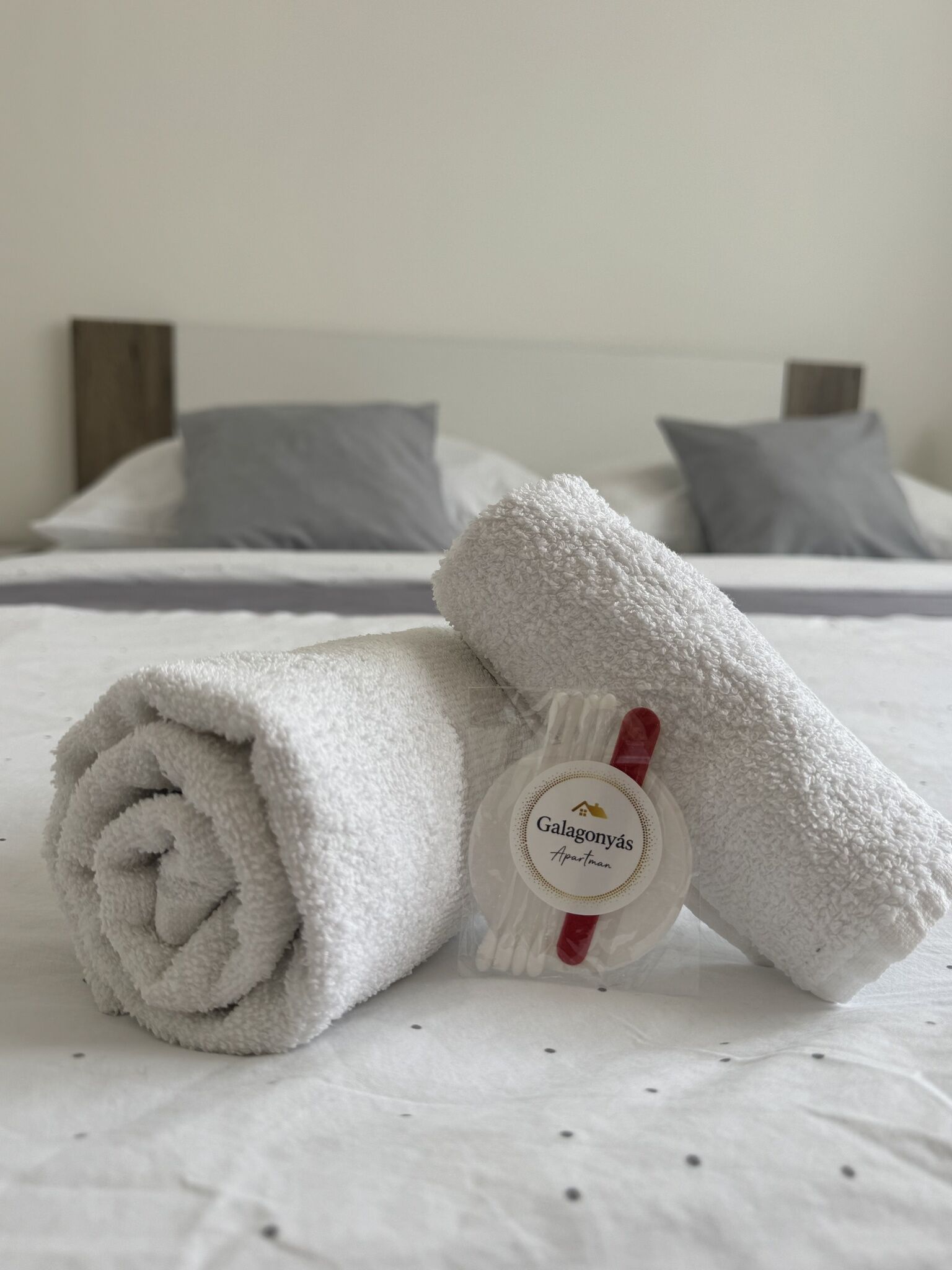 Galagonyás Apartman – Esztergom fotó 11