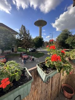 Lulu Apartman4