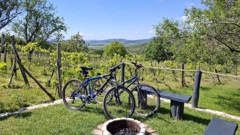 Csillagles Vendégház9