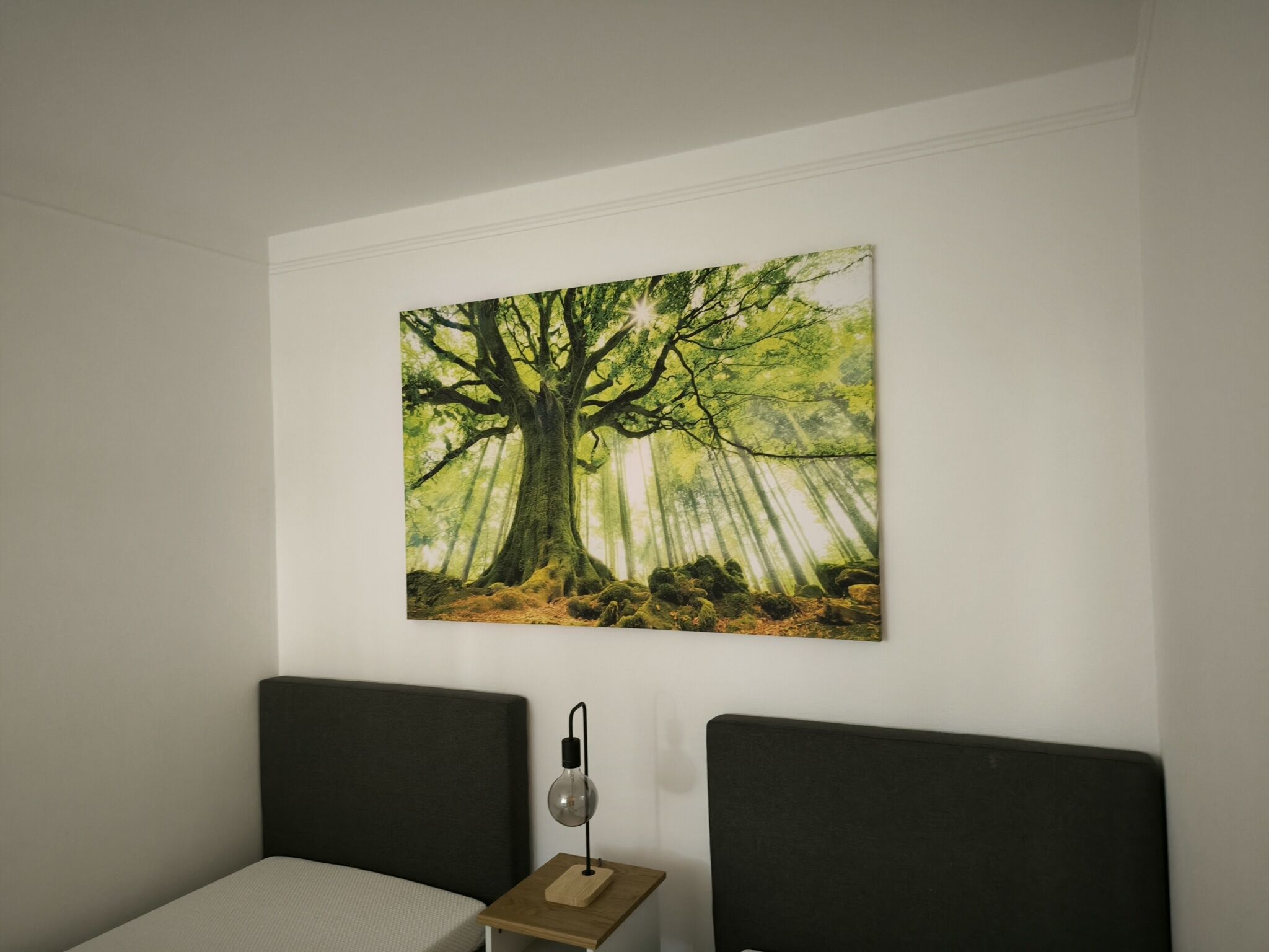 Sunset Green Apartman – Bük fotó 1