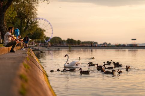 Elefteria Apartman12