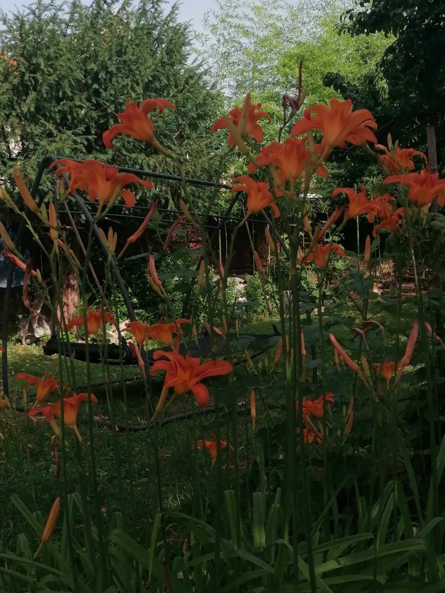 Bamboo Garden House Vendégház – Tapolca fotó 13