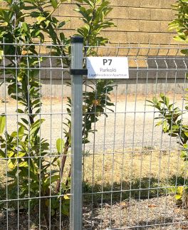 LigetResidence Apartman13