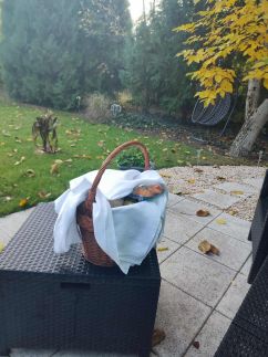 Kökénykuckó Apartman17