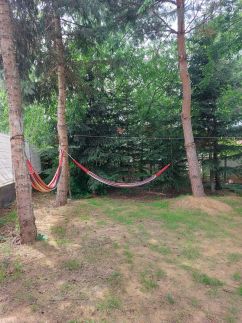 Forest Apartman13
